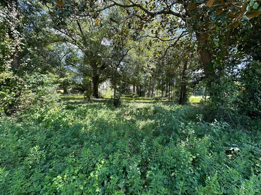 TBD W Juniper Avenue, Crestview, FL 32536 - Image #3