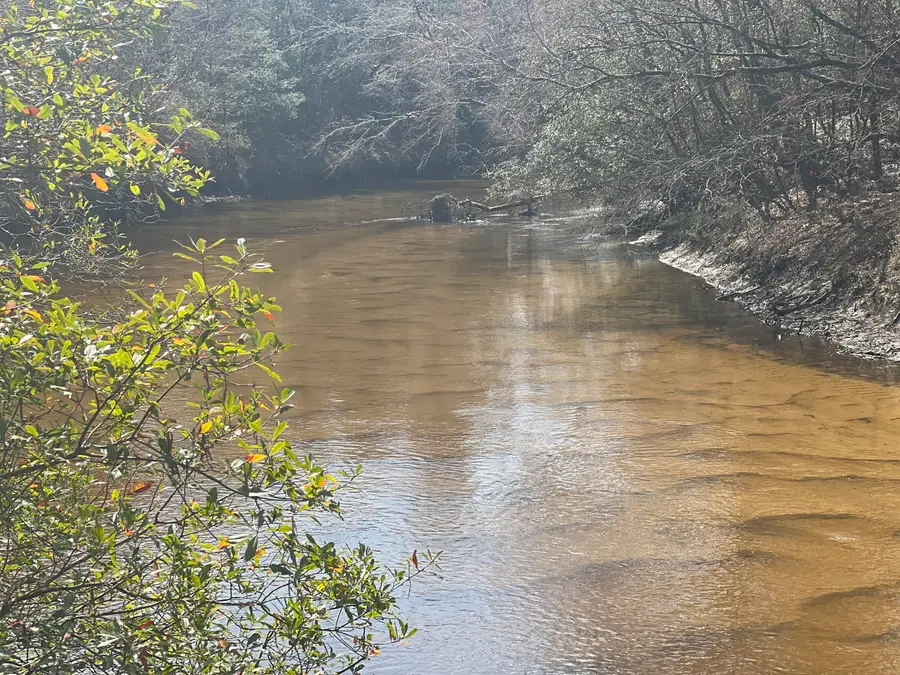 X Eagles Way, Defuniak Springs, FL 32433 - Image #2