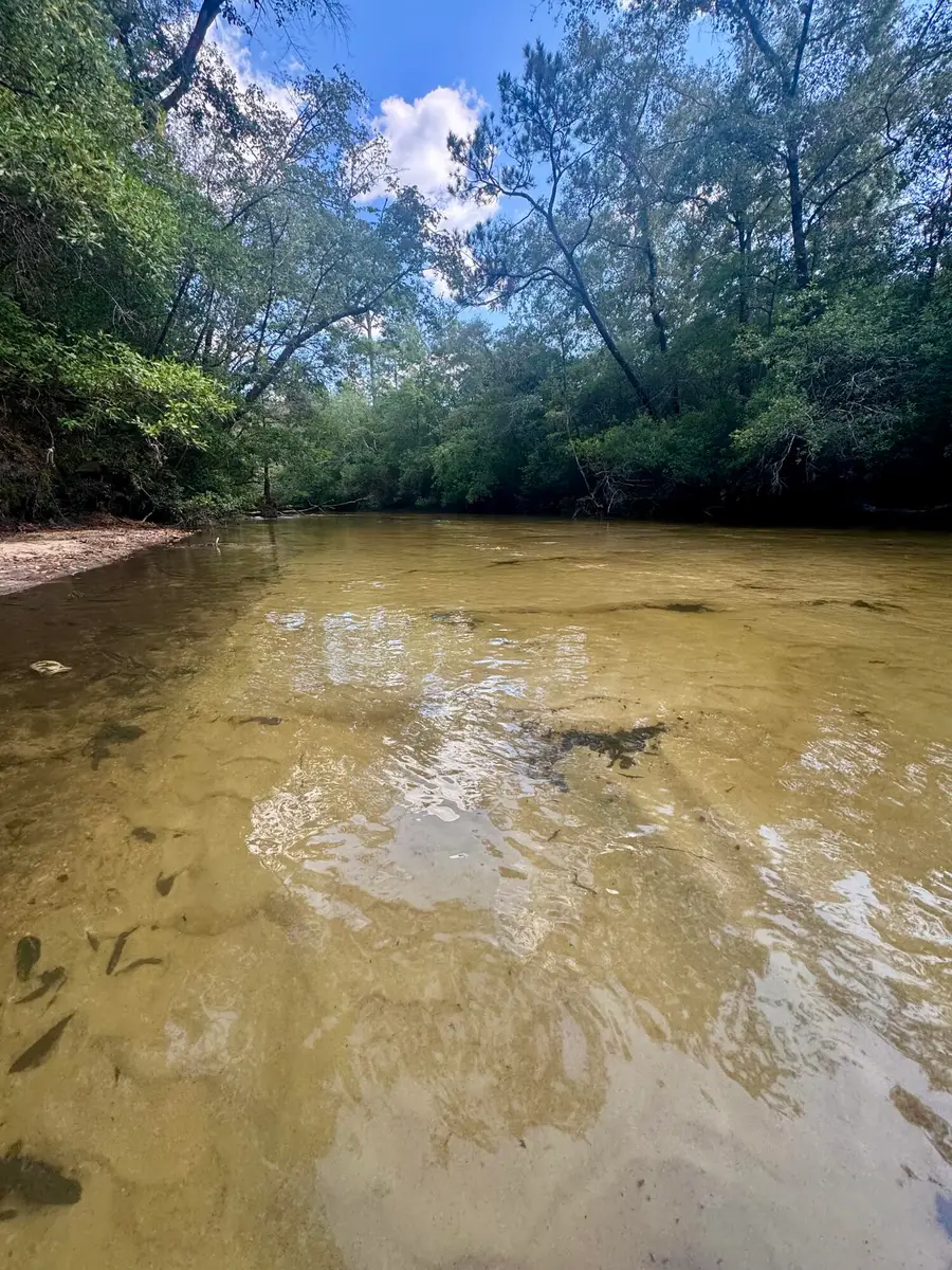 X Eagles Way, Defuniak Springs, FL 32433 - Image #3