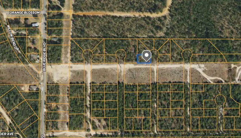 LOT 1 White Spruce Lane, Paxton Darlington, FL 32434 - Image #1