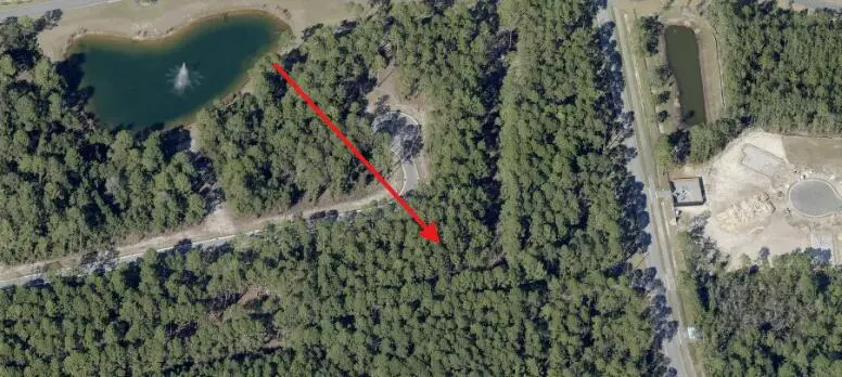 lot 37 E Captain Fritz Way, Freeport, FL 32439 - Image #1