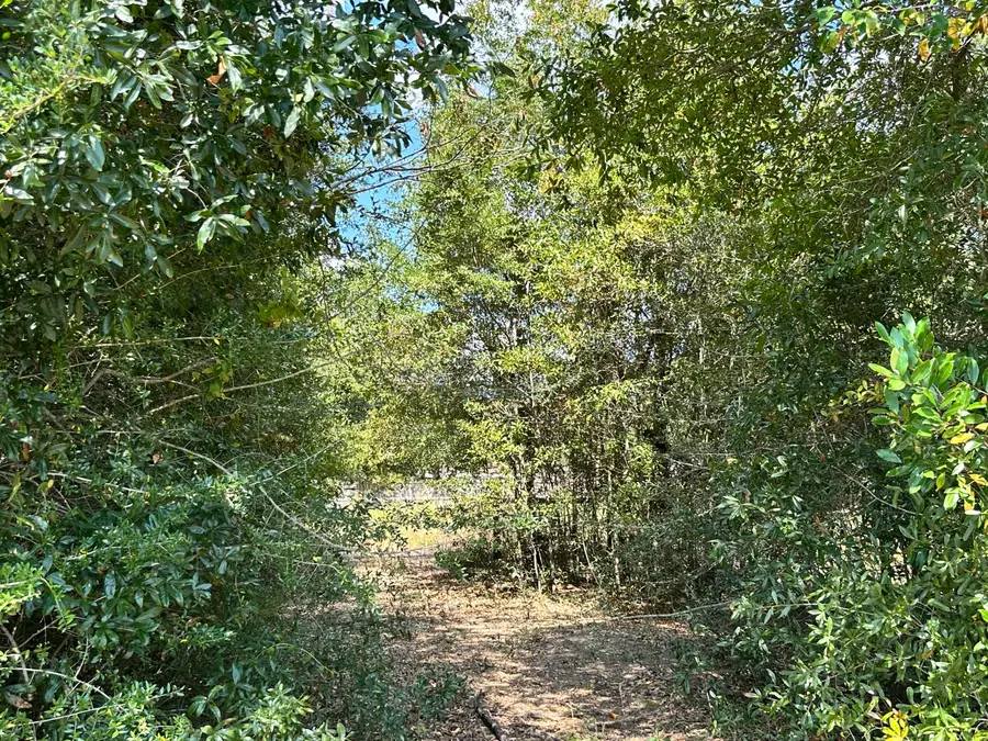 xx Sheldon Avenue, Defuniak Springs, FL 32435 - Image #2