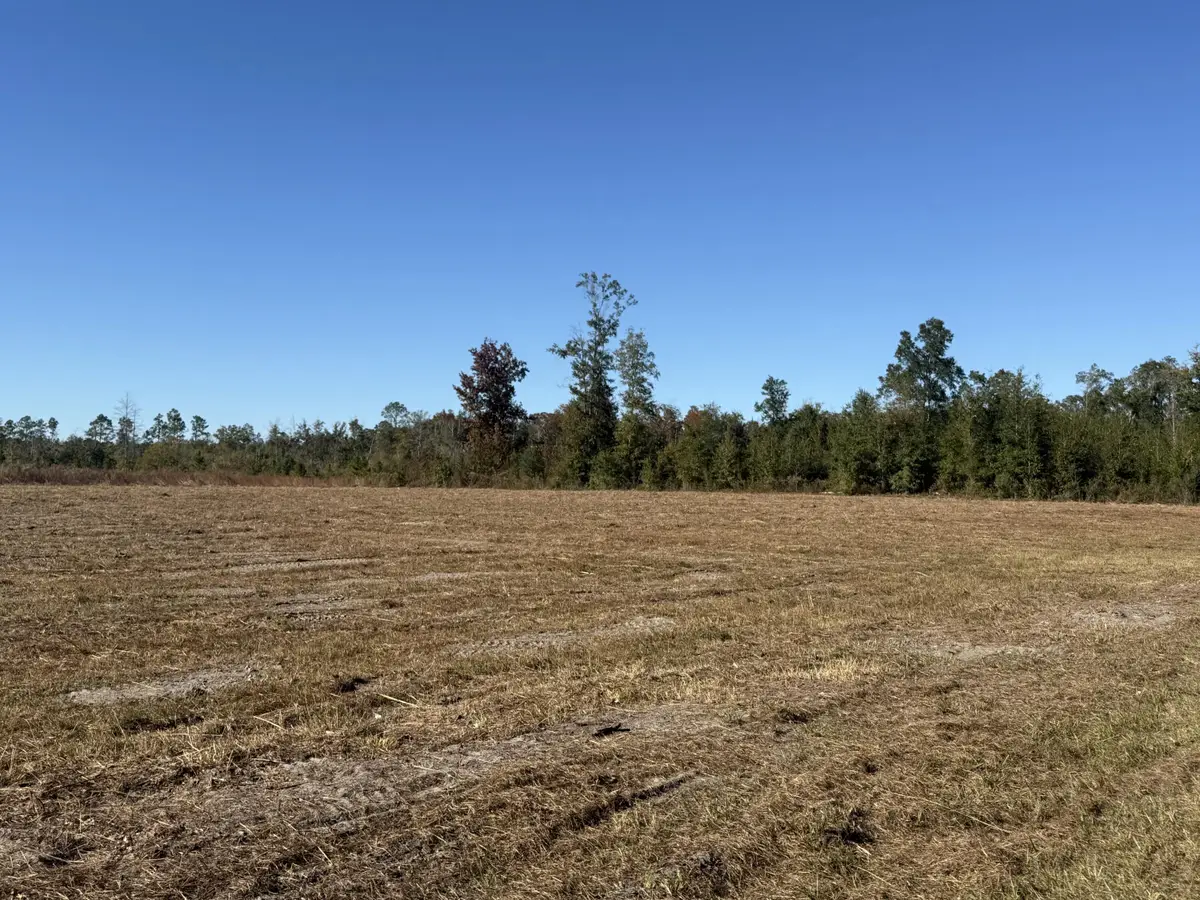Lot 1 Hwy 71, Wewahitchka, FL 32465 - Image #1