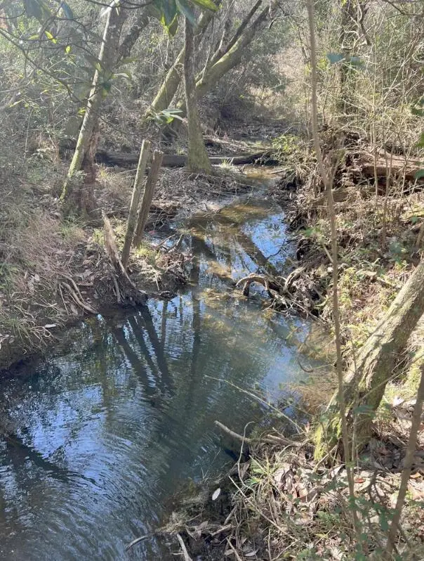 13 Acres Jack Rd, Laurel Hill, FL 32567 - Image #1