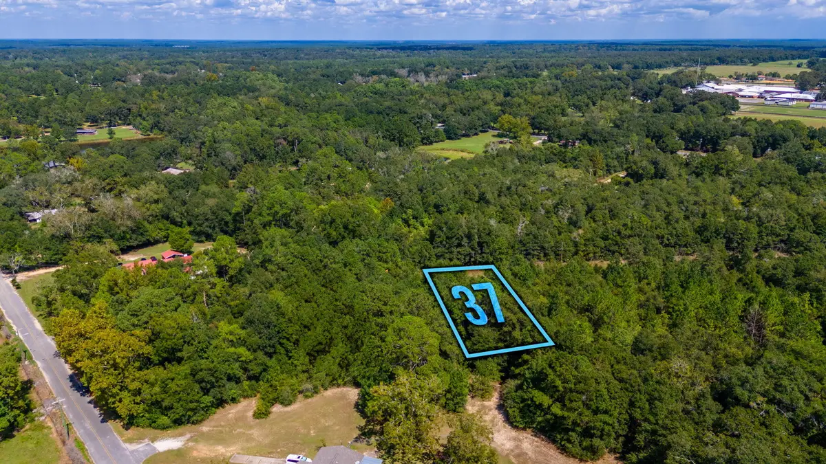 LOT 37 Blueberry Drive, Laurel Hill, FL 32567 - Image #1