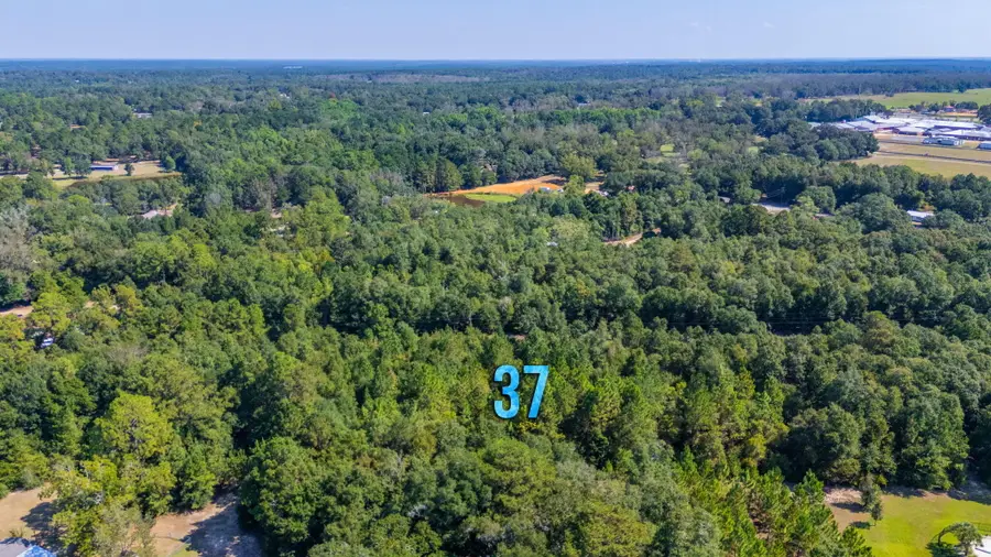 LOT 37 Blueberry Drive, Laurel Hill, FL 32567 - Image #3
