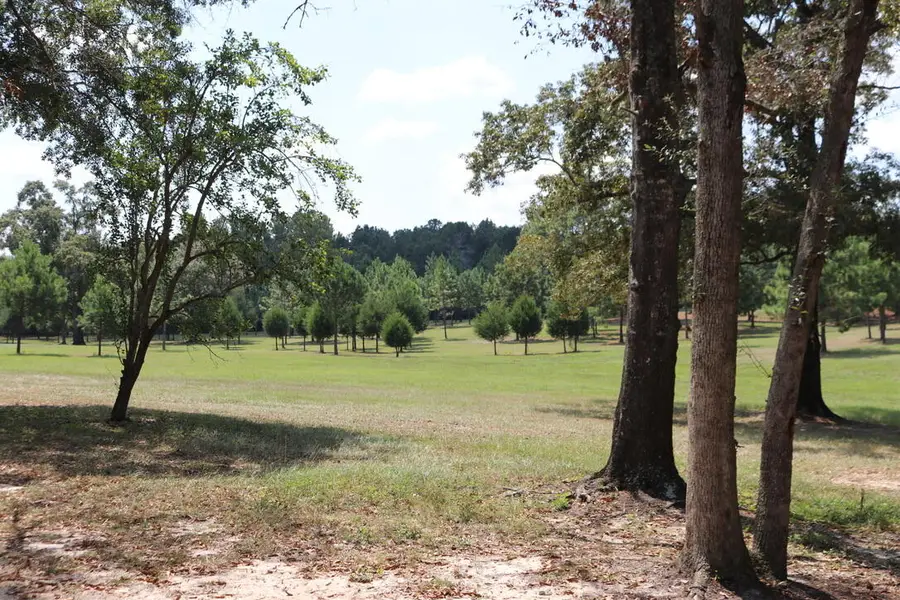 261 Wilkerson Road, Defuniak Springs, FL 32433 - Image #2