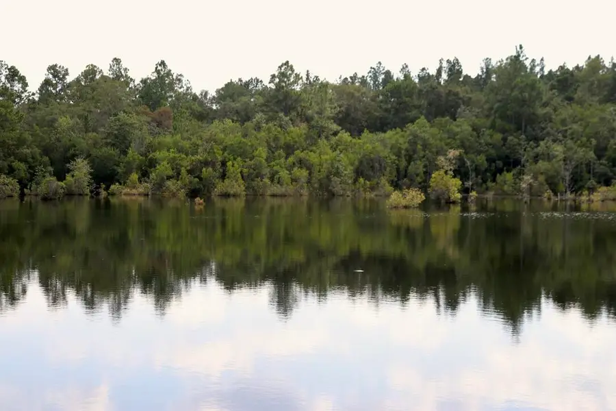 261 Wilkerson Road, Defuniak Springs, FL 32433 - Image #3