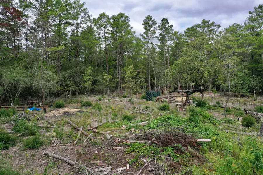 2 W Bluebottle Court, Defuniak Springs, FL 32433 - Image #3