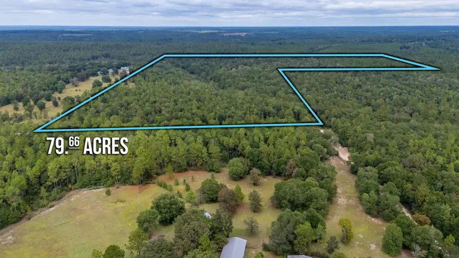 79 Acres Bucking Up Road, Laurel Hill, FL 32567 - Image #2