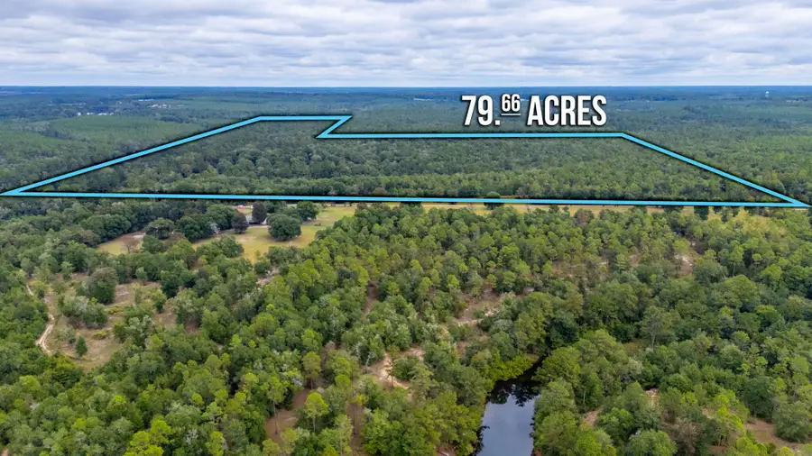 79 Acres Bucking Up Road, Laurel Hill, FL 32567 - Image #3