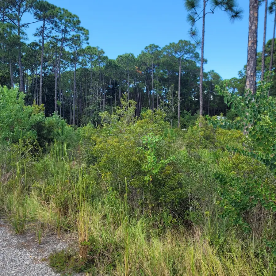 Lot 24 Nautilus Court, Santa Rosa Beach, FL 32459 - #2