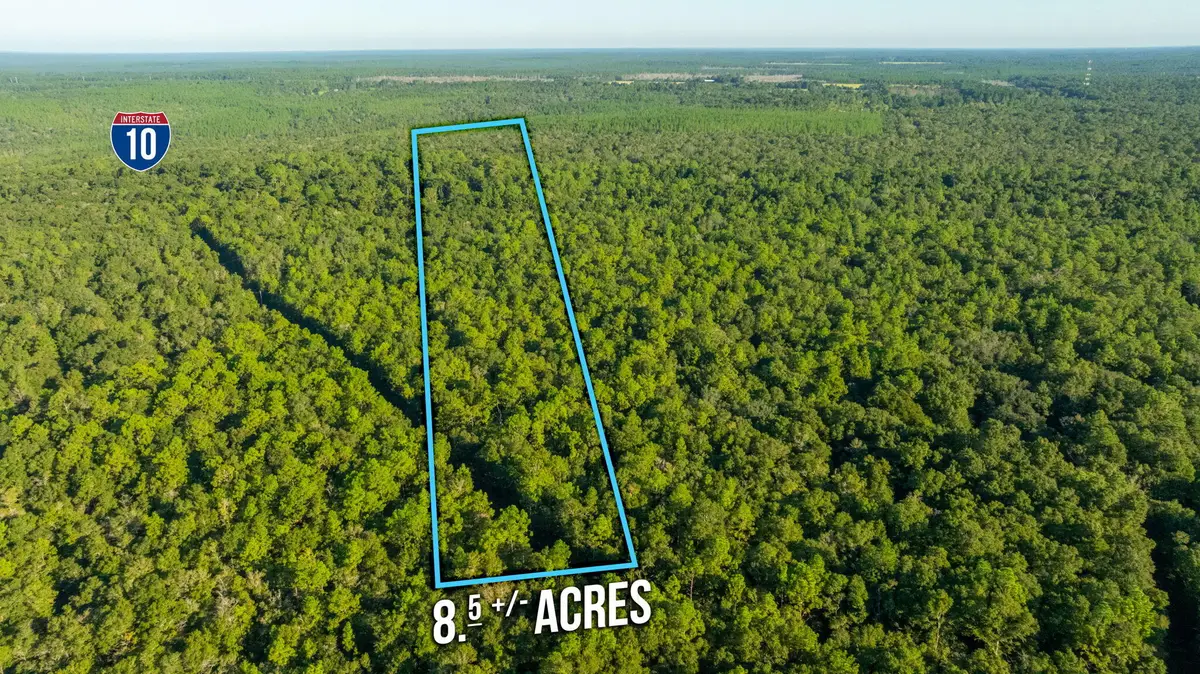 8.5 Acres Lyons Place, Holt, FL 32564 - Image #1