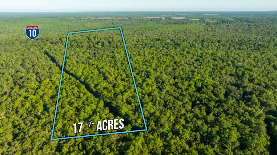 8.5 Acres Lyons Place, Holt, FL 32564 - Image #3