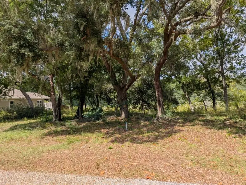 676 Satsuma Road, Niceville, FL 32578 - Image #3