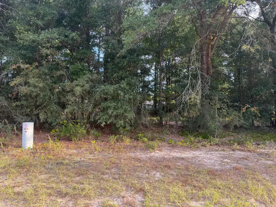 TBD Highway 90, Defuniak Springs, FL 32433 - Image #3