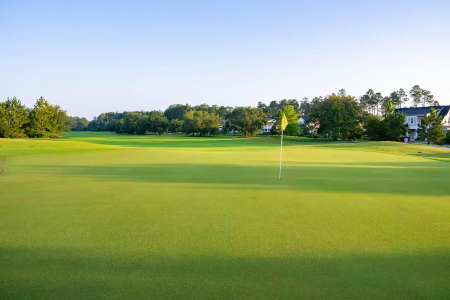 190 Green Heron Street #Lot 37, Watersound, FL 32461 - Image #2