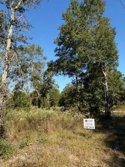 Lot 48 Howlin Road, DeFuniak Springs, FL 32433