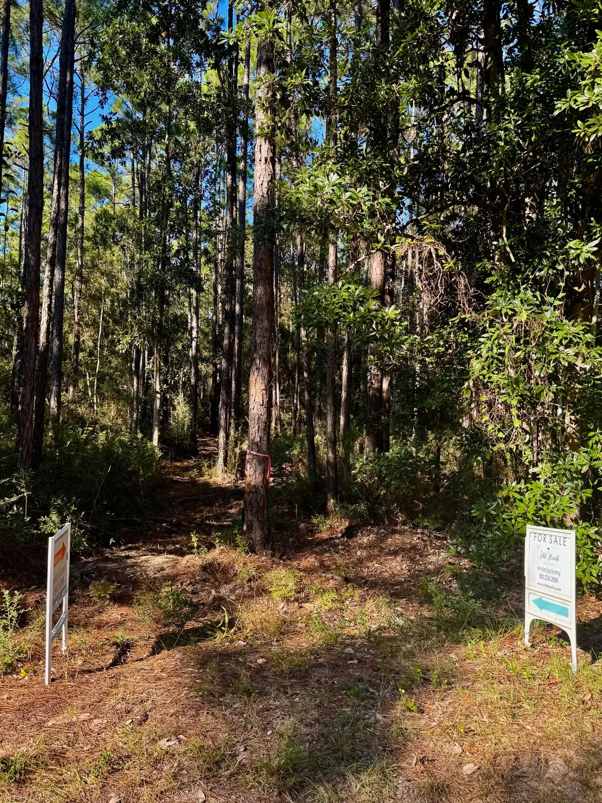 Lot 12 S 14th Street, Santa Rosa Beach, FL 32459 - Image #1