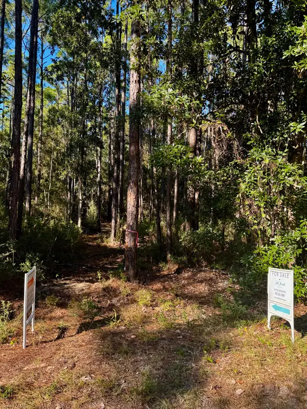 Lot 12 S 14th Street, Santa Rosa Beach, FL 32459