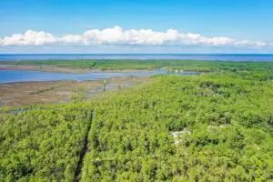 Lot 12 S 14th Street, Santa Rosa Beach, FL 32459 - Image #2