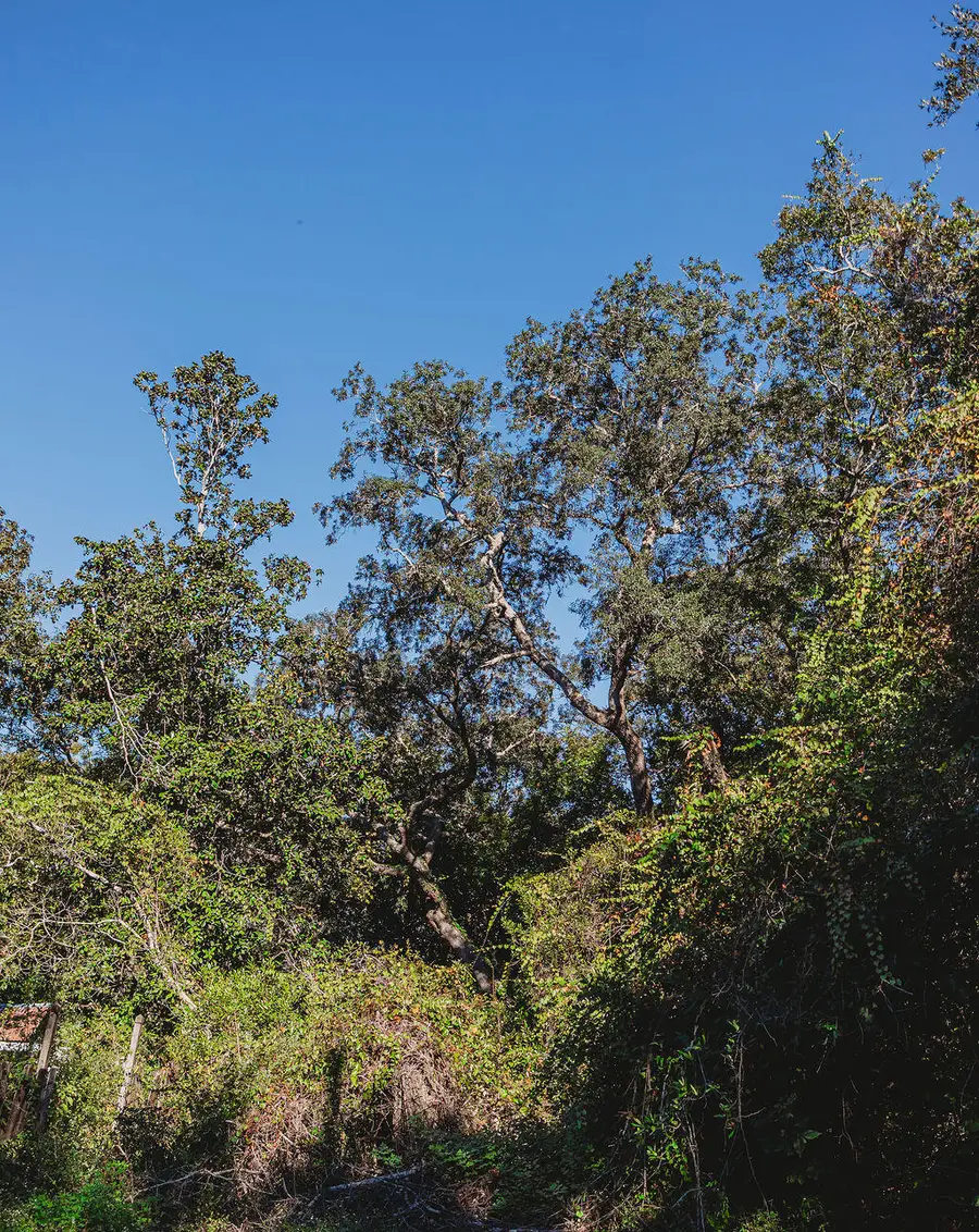 TBD Robert Avenue, Niceville, FL 32578 - Image #3