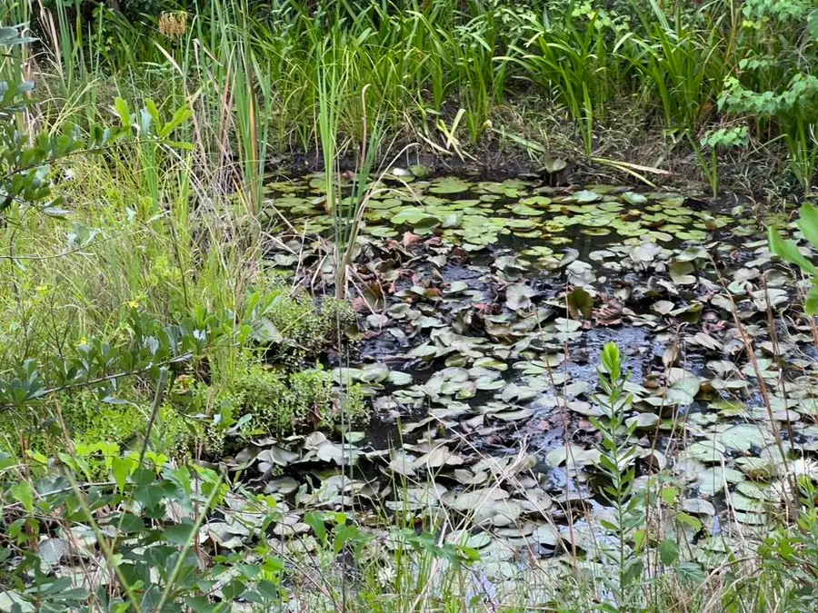 6807 John Pitts Road, Panama City, FL 32404 - Image #2