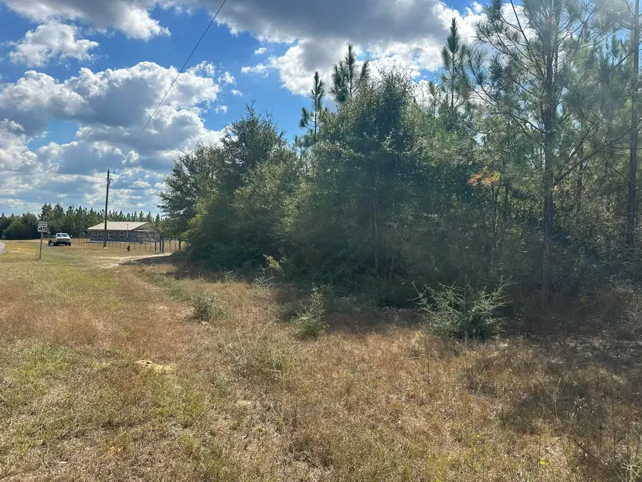 Parcel A New Ebenezer Road, Laurel Hill, FL 32567 - Image #2