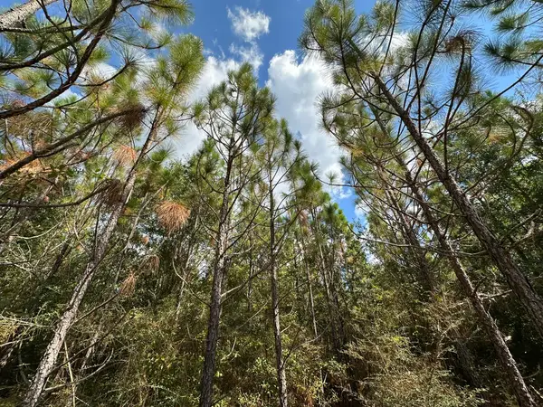 Parcel C New Ebenezer Road, Laurel Hill, FL 32567