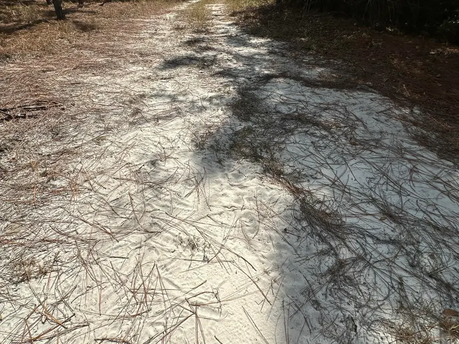 Parcel C New Ebenezer Road, Laurel Hill, FL 32567 - #2