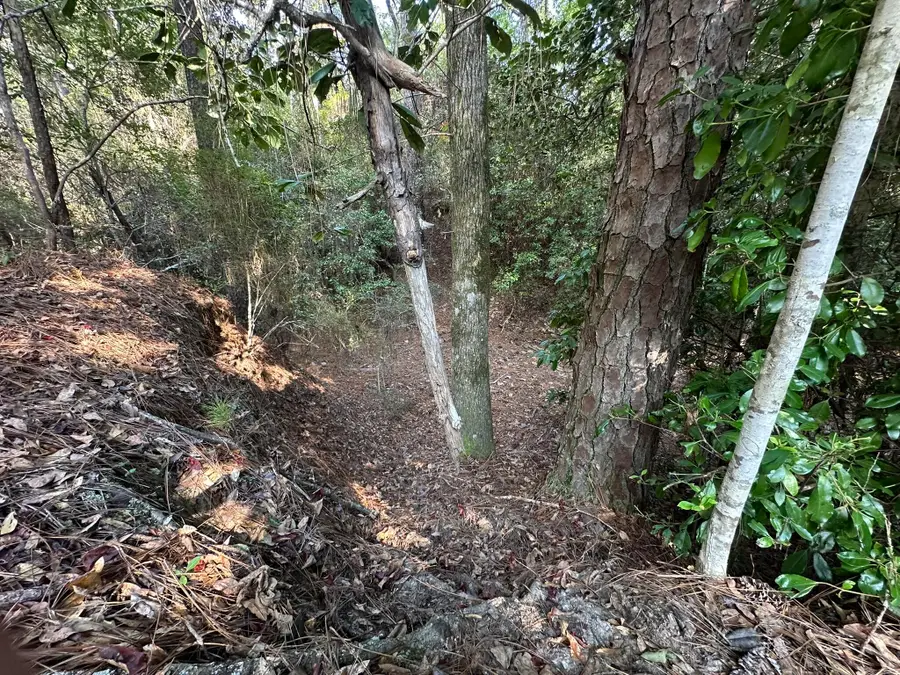 Parcel C New Ebenezer Road, Laurel Hill, FL 32567 - #3