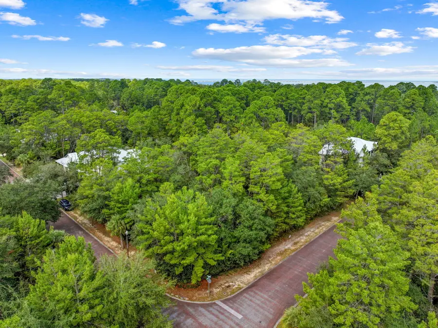 Lot 11 Riker Avenue, Santa Rosa Beach, FL 32459 - Image #2