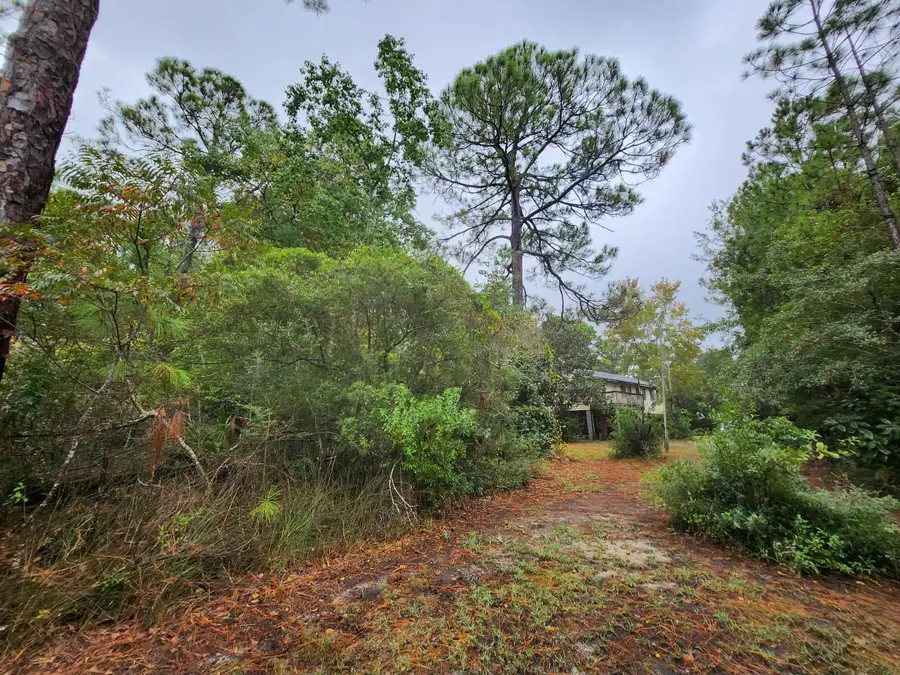 63 Gammage Street, Santa Rosa Beach, FL 32459 - Image #3
