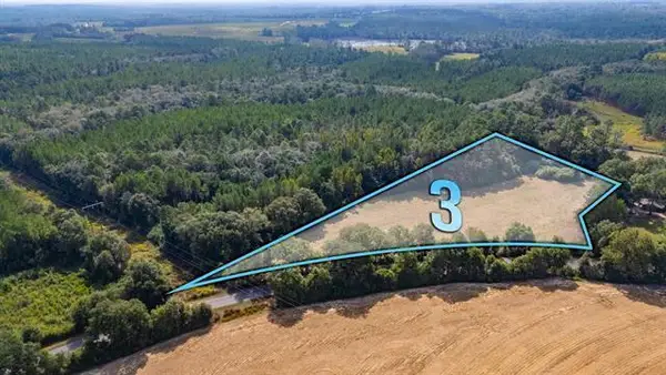 3 Acre -B Prescott Rd, Florala, AL 36442