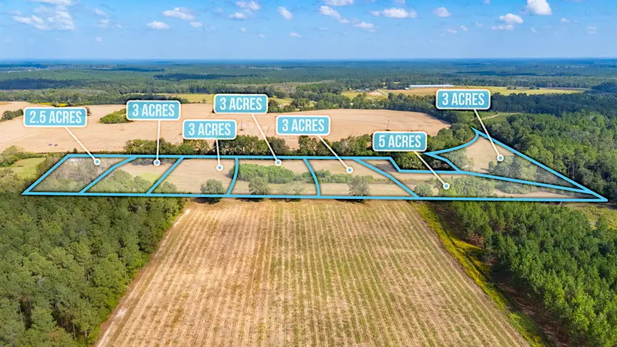 3 Acre -C Prescott Rd, Florala, AL 36442 - #2