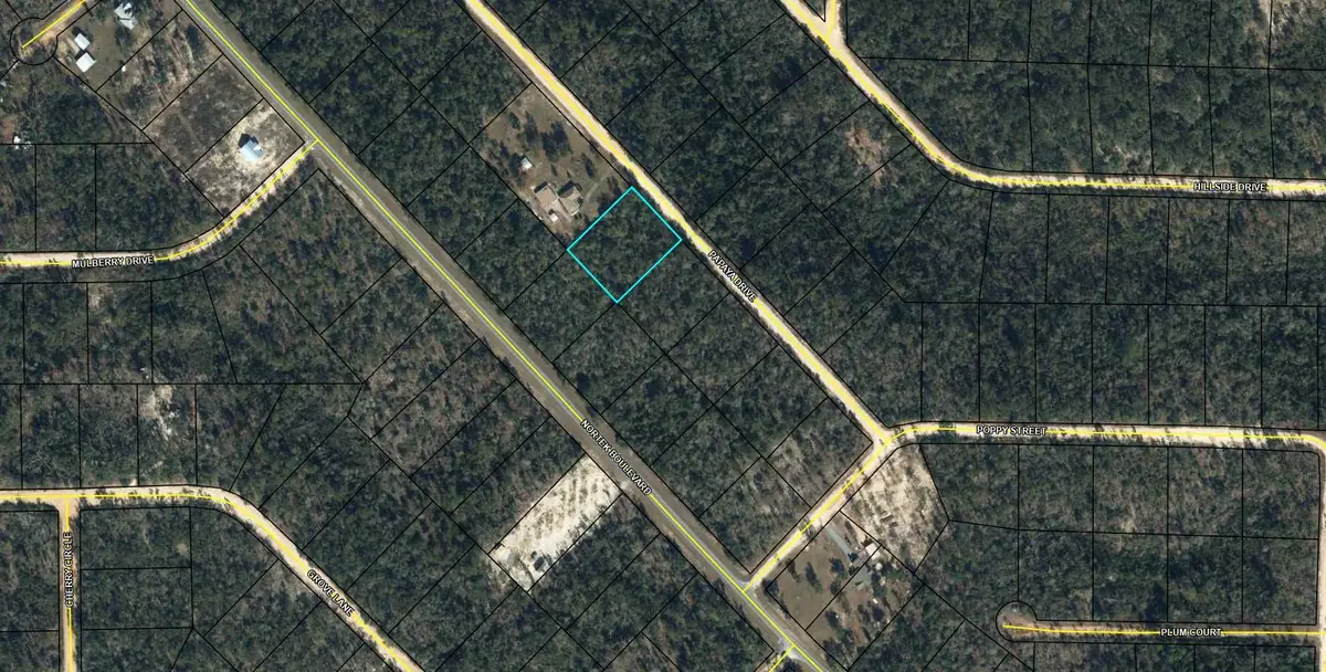 Lot 11 Papaya Street, Marianna, FL 32448 - Image #1