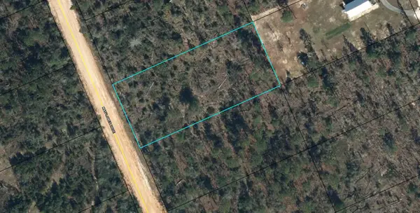 Lot 9 Mayflower Drive, Marianna, FL 32448