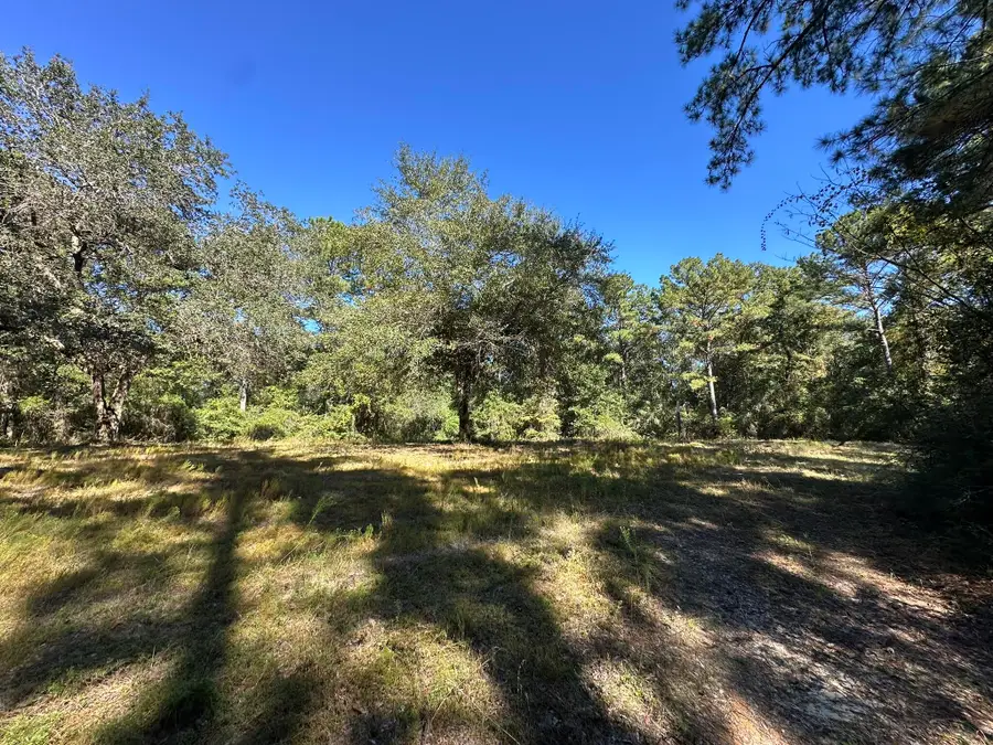 191.95 Ac Us Highway 90 Highway, Crestview, FL 32539 - Image #2