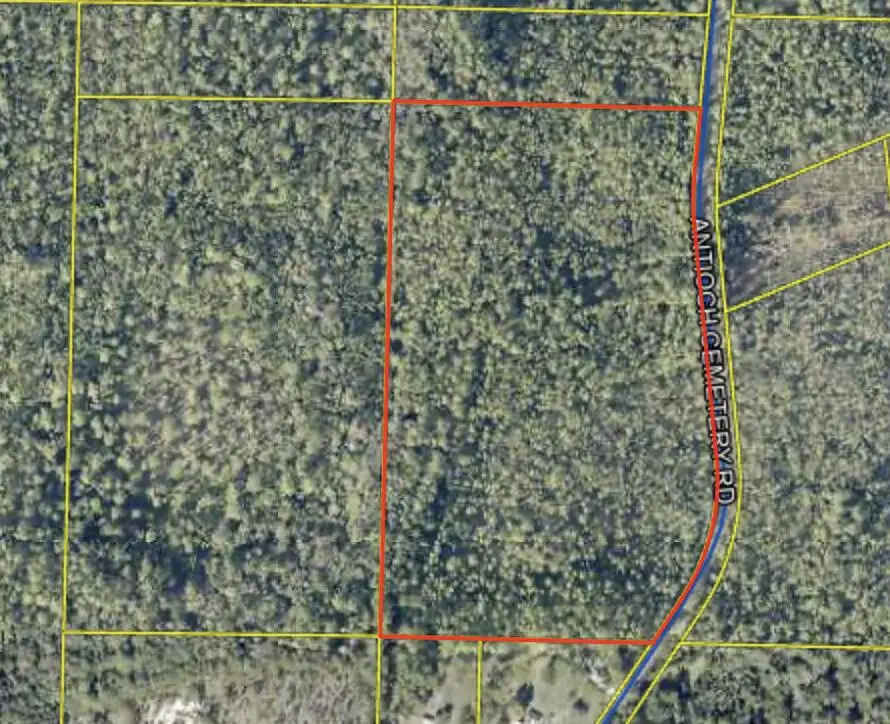 Lot Antioch Cemetery 17.11 Acres Road, Ponce De Leon, FL 32455 - Image #1