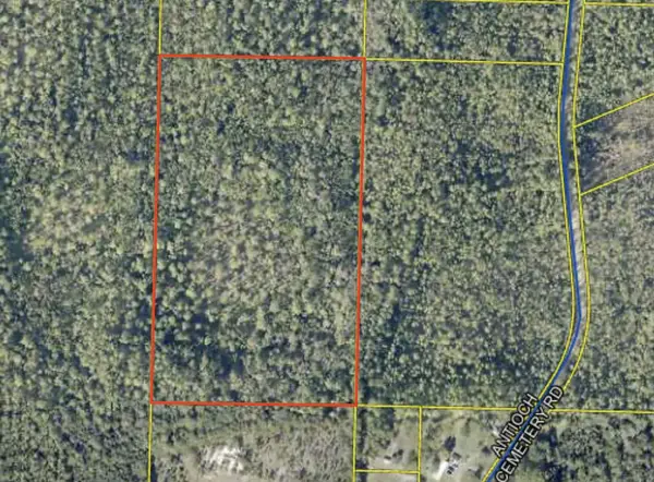 Lot Antioch Cemetery 17.02 Acres Road, Ponce De Leon, FL 32455