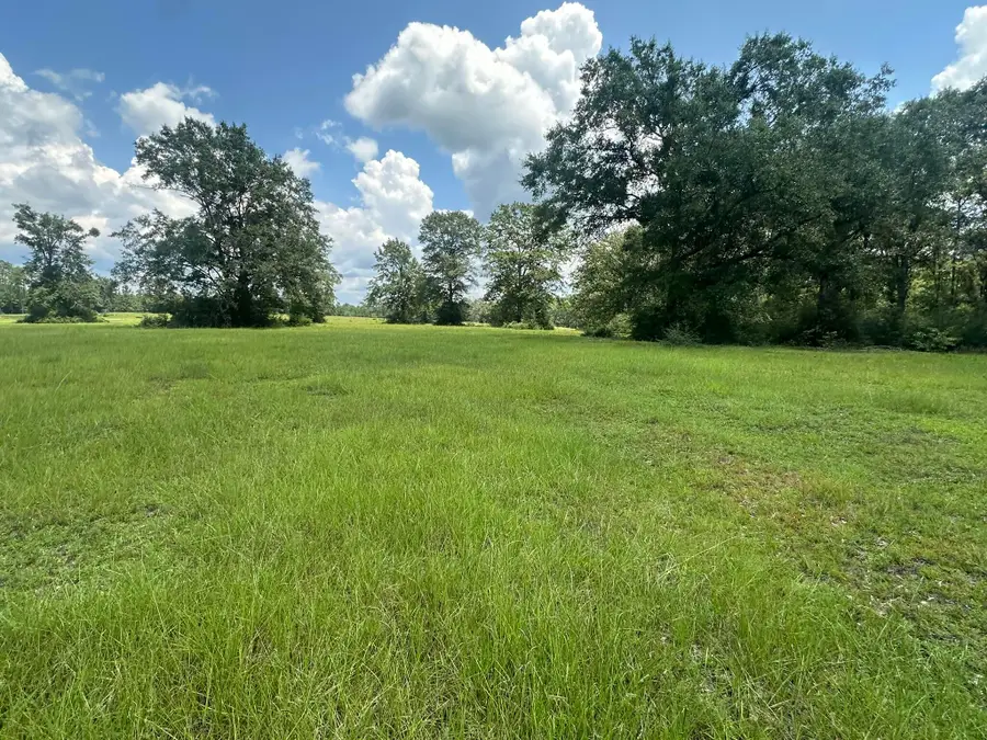 Lot 4 Bullard Road, Milton, FL 32570 - #2
