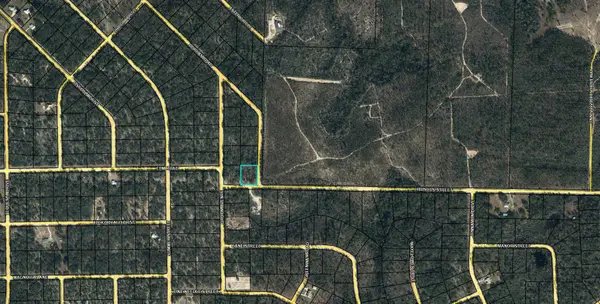 Lot 6 Hibiscus Street, Marianna, FL 32448