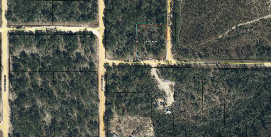 Lot 6 Hibiscus Street, Marianna, FL 32448 - Image #2