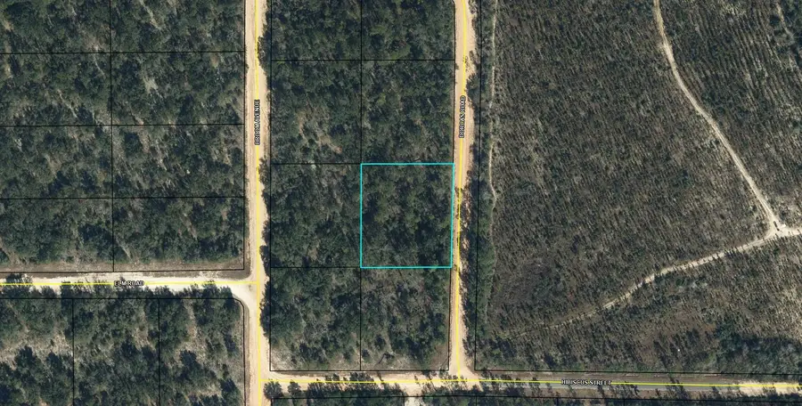 Lot 7 Dorcas Road, Marianna, FL 32448 - Image #2