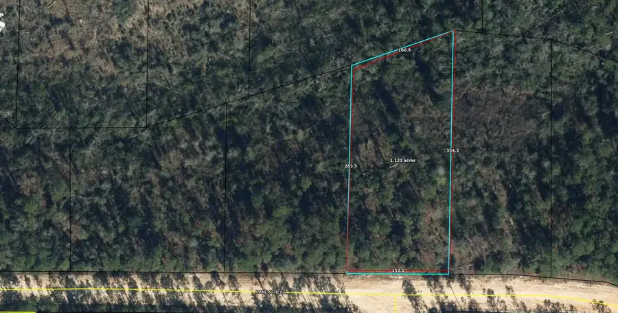 Lot 8 Cane Street, Marianna, FL 32448 - Image #2