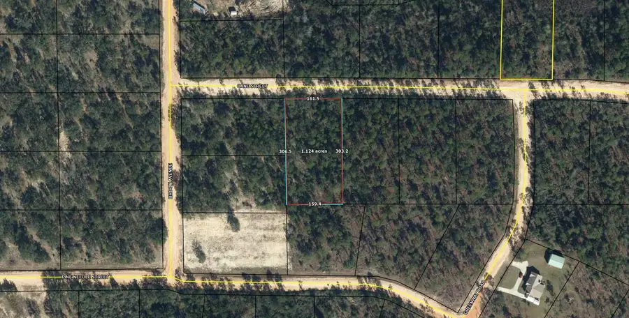 Lot 10 Cane Street, Marianna, FL 32448 - Image #2