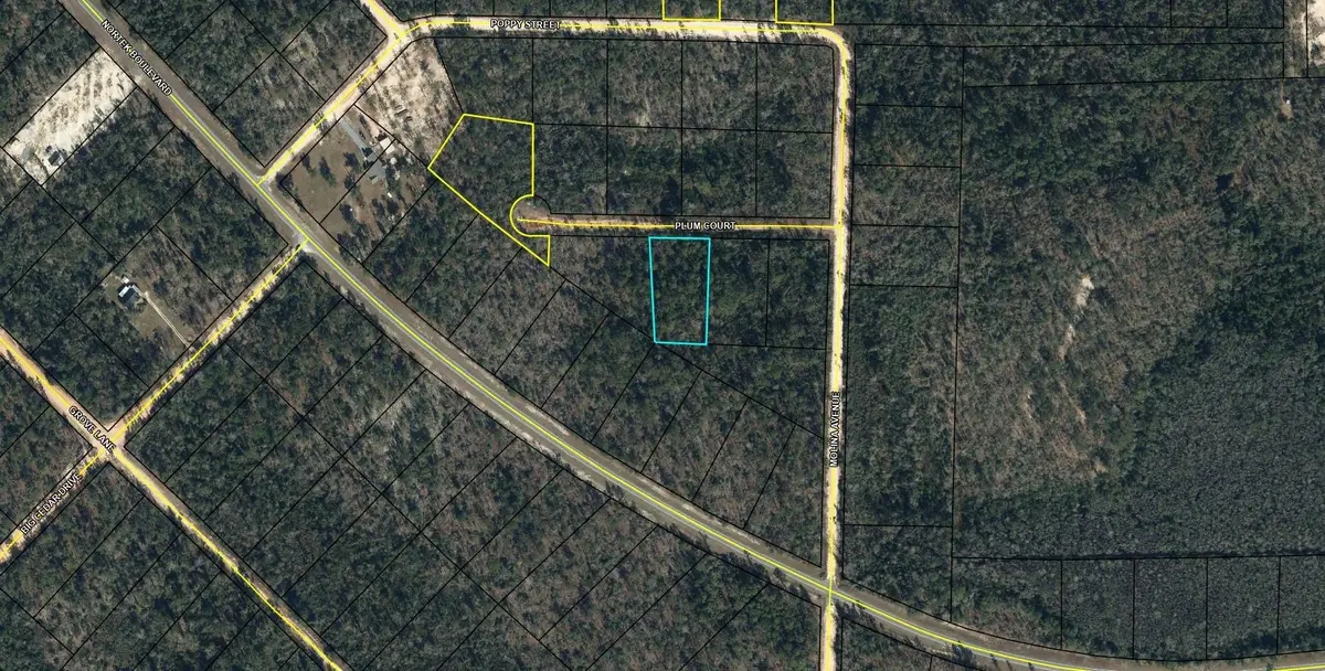 Lot 21 Plum Court, Marianna, FL 32448 - Image #1