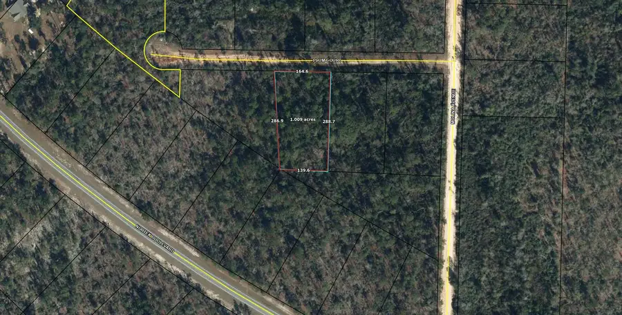 Lot 21 Plum Court, Marianna, FL 32448 - Image #2