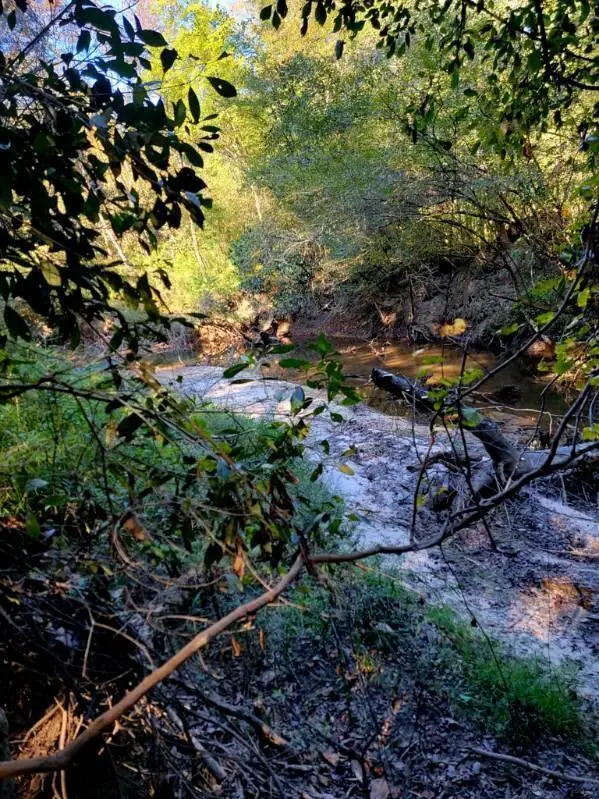 19 acres Walton Bridge Road, Ponce De Leon, FL 32455