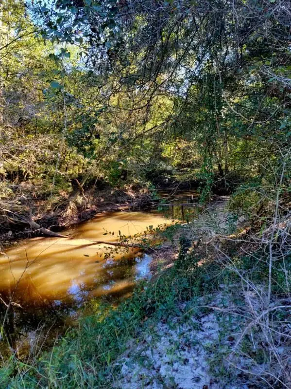 19 acres Walton Bridge Road, Ponce De Leon, FL 32455 - Image #2